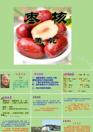 秋六年级语文上册 第二单元 9 枣核教学课件 语文S版-语文S版小学六年级上册语文课件