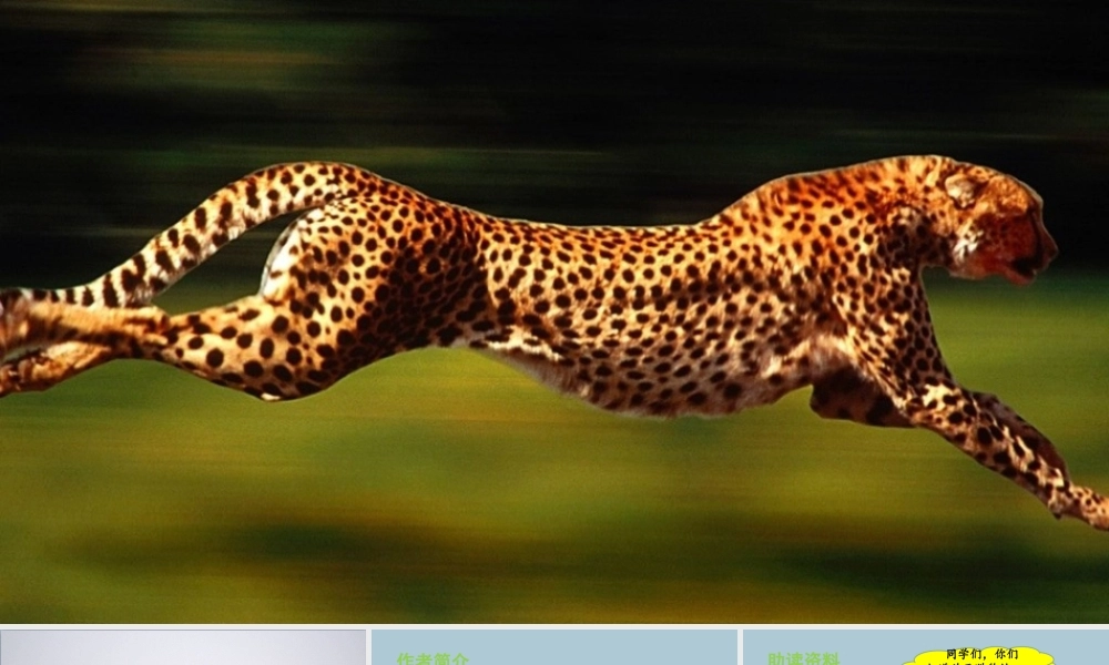 秋五年级语文上册 第二单元 第7课 什么比猎豹的速度更快教学课件 新人教版-新人教版小学五年级上册语文课件