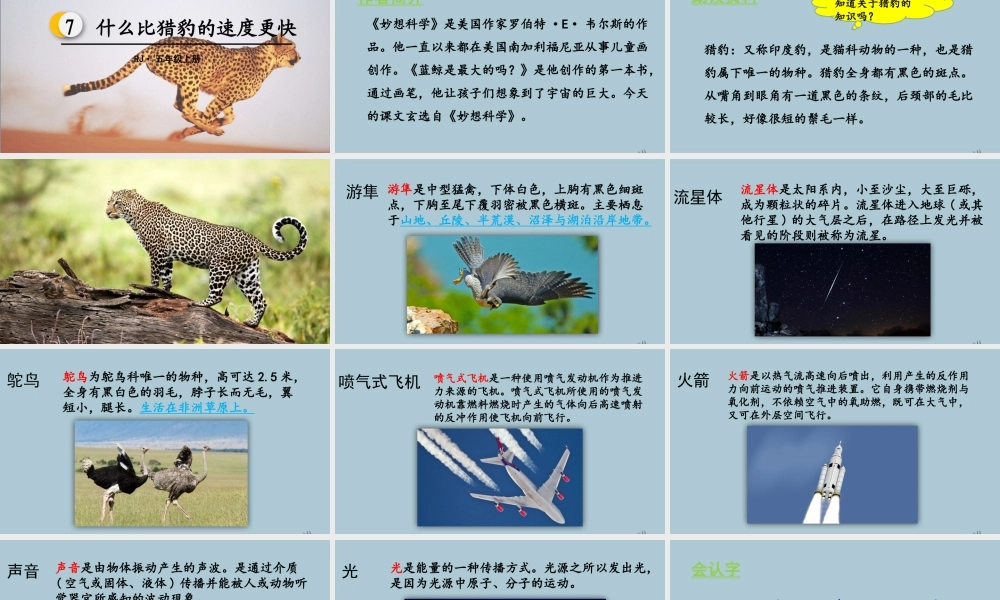 秋五年级语文上册 第二单元 第7课 什么比猎豹的速度更快教学课件 新人教版-新人教版小学五年级上册语文课件