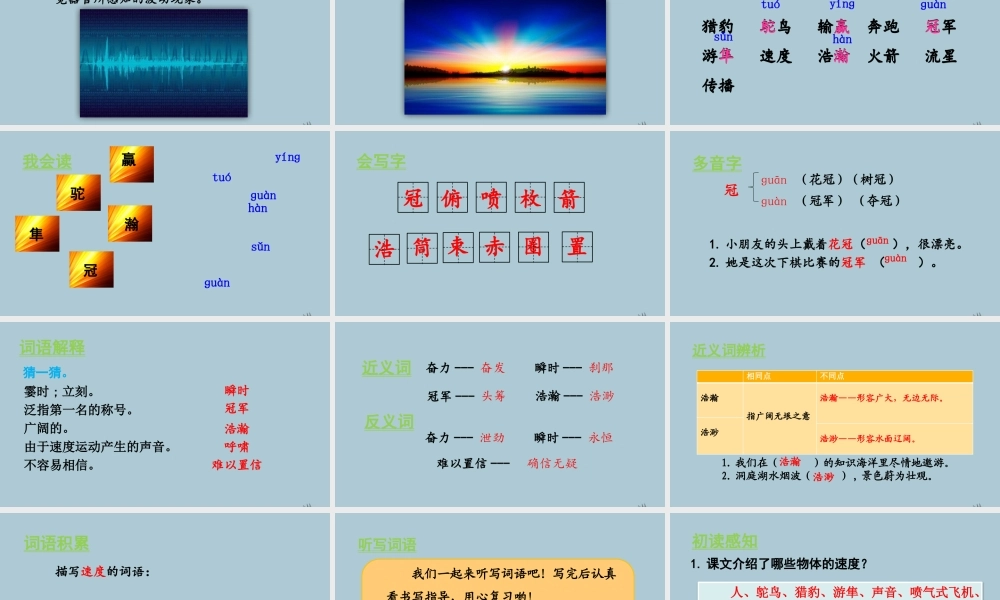 秋五年级语文上册 第二单元 第7课 什么比猎豹的速度更快教学课件 新人教版-新人教版小学五年级上册语文课件