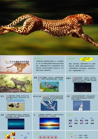 秋五年级语文上册 第二单元 第7课 什么比猎豹的速度更快教学课件 新人教版-新人教版小学五年级上册语文课件