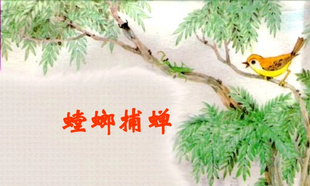秋六年级语文上册《螳螂捕蝉》课件2 北师大版-北师大版小学六年级上册语文课件