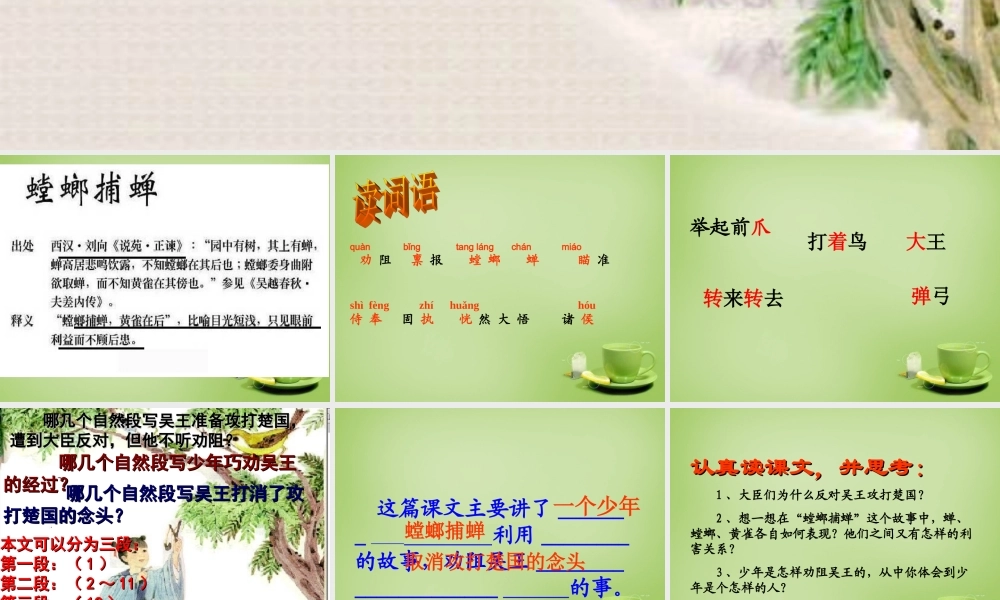 秋六年级语文上册《螳螂捕蝉》课件2 北师大版-北师大版小学六年级上册语文课件