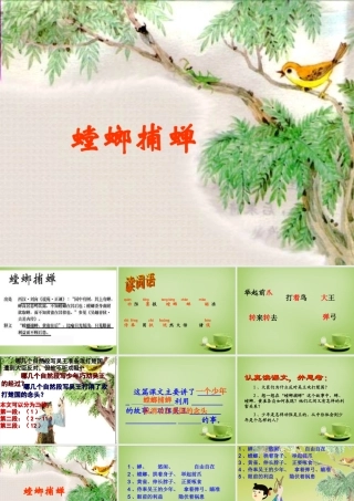 秋六年级语文上册《螳螂捕蝉》课件2 北师大版-北师大版小学六年级上册语文课件