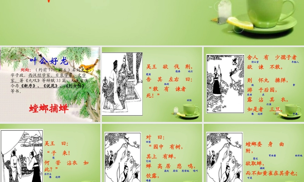 秋六年级语文上册《螳螂捕蝉》课件3 北师大版-北师大版小学六年级上册语文课件