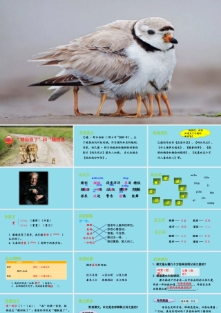 秋五年级语文上册 第六单元 第20课“精彩极了”和“糟糕透了”教学课件 新人教版-新人教版小学五年级上册语文课件