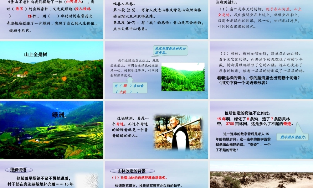 秋六年级语文上册 第六单元 19 青山不老教学课件 新人教版-新人教版小学六年级上册语文课件