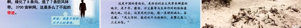 秋六年级语文上册 第六单元 19 青山不老教学课件 新人教版-新人教版小学六年级上册语文课件
