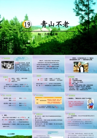 秋六年级语文上册 第六单元 19 青山不老教学课件 新人教版-新人教版小学六年级上册语文课件