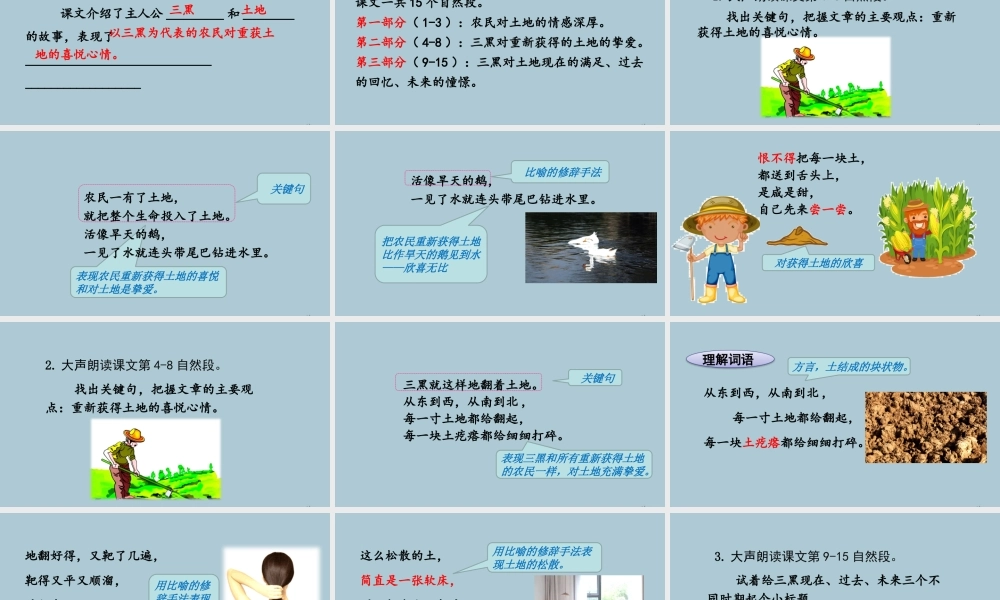 秋六年级语文上册 第六单元 20 三黑和土地教学课件 新人教版-新人教版小学六年级上册语文课件