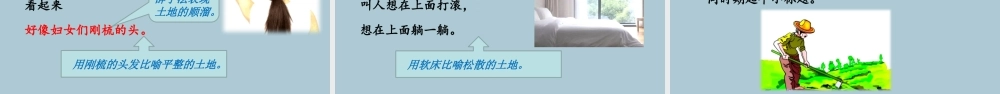 秋六年级语文上册 第六单元 20 三黑和土地教学课件 新人教版-新人教版小学六年级上册语文课件