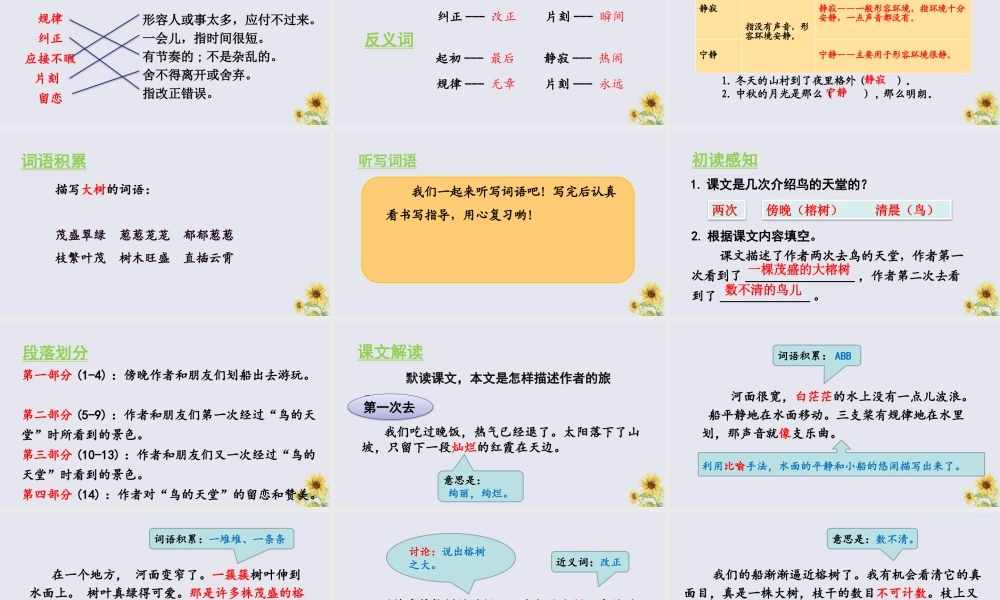 秋五年级语文上册 第七单元 第23课 鸟的天堂教学课件 新人教版-新人教版小学五年级上册语文课件