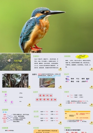 秋五年级语文上册 第七单元 第23课 鸟的天堂教学课件 新人教版-新人教版小学五年级上册语文课件