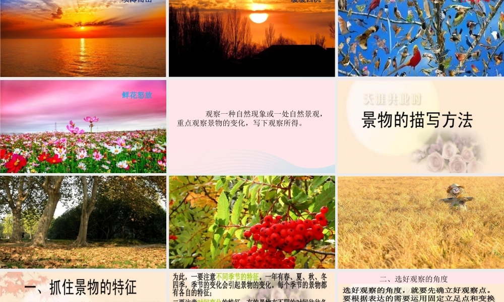 秋五年级语文上册 第七单元 习作七 即景课件 新人教版-新人教版小学五年级上册语文课件