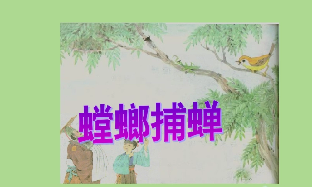 秋六年级语文上册 第六单元 战争 30 螳螂捕蝉教学课件 北师大版-北师大版小学六年级上册语文课件
