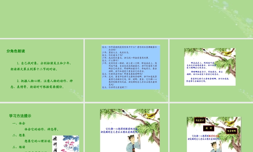 秋六年级语文上册 第六单元 战争 30 螳螂捕蝉教学课件 北师大版-北师大版小学六年级上册语文课件