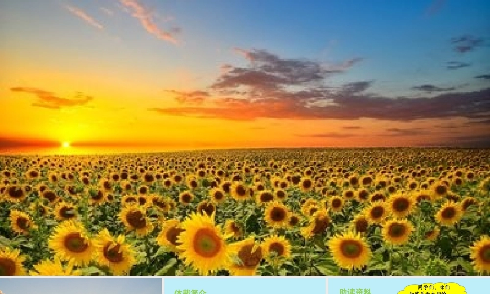 秋五年级语文上册 第五单元 第16课 太阳教学课件 新人教版-新人教版小学五年级上册语文课件