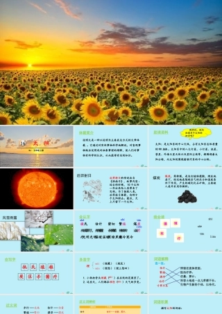 秋五年级语文上册 第五单元 第16课 太阳教学课件 新人教版-新人教版小学五年级上册语文课件