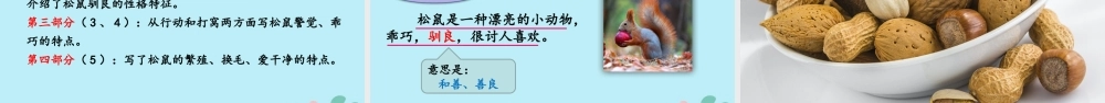 秋五年级语文上册 第五单元 第17课 松鼠教学课件 新人教版-新人教版小学五年级上册语文课件