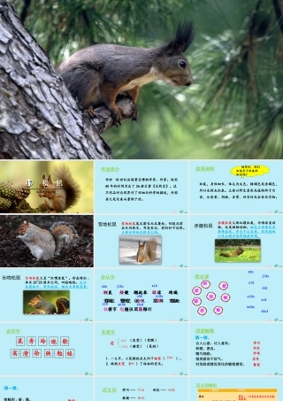 秋五年级语文上册 第五单元 第17课 松鼠教学课件 新人教版-新人教版小学五年级上册语文课件