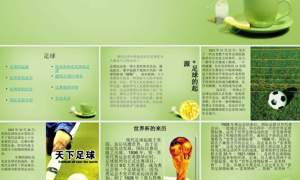 秋六年级语文上册《足球史话》课件5 北师大版-北师大版小学六年级上册语文课件