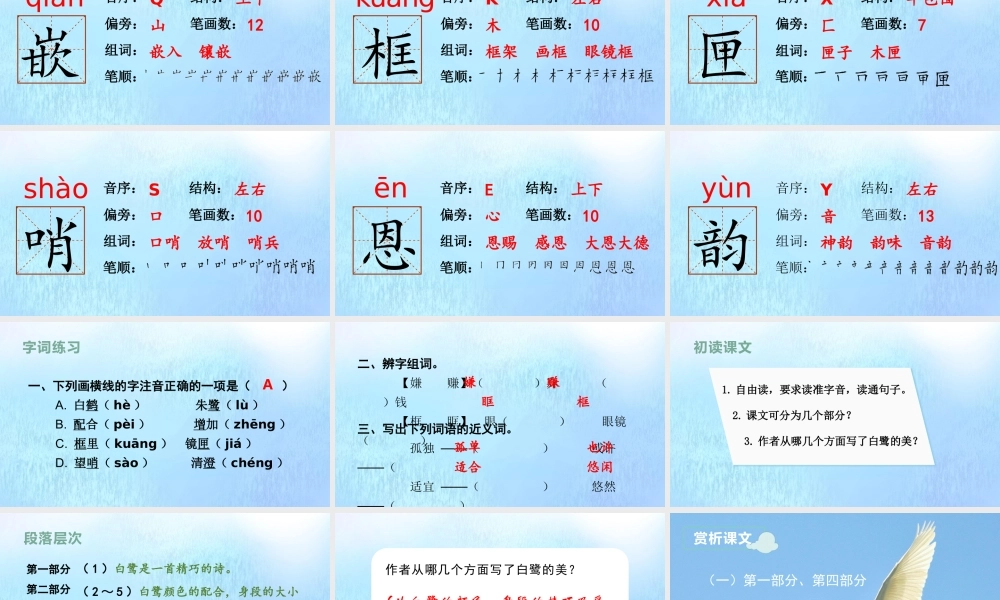 秋五年级语文上册 第一单元 1 白鹭上课课件 新人教版-新人教版小学五年级上册语文课件