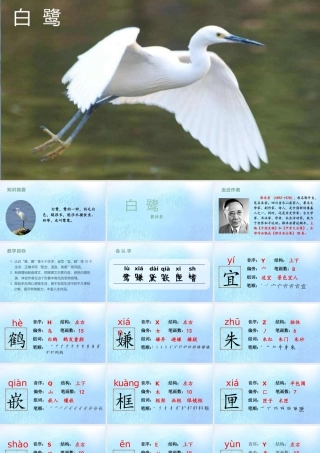 秋五年级语文上册 第一单元 1 白鹭上课课件 新人教版-新人教版小学五年级上册语文课件