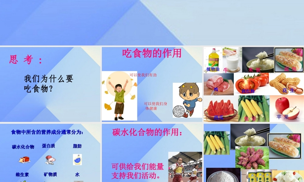 秋四年级科学上册 2.1《我们吃什么》课件1 大象版-大象版小学四年级上册自然科学课件