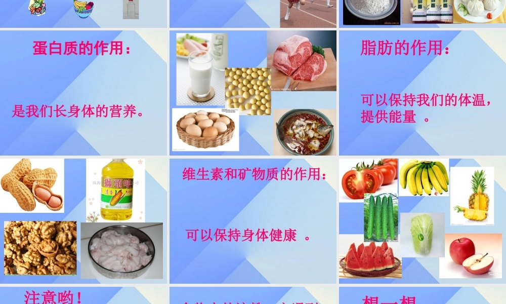 秋四年级科学上册 2.1《我们吃什么》课件1 大象版-大象版小学四年级上册自然科学课件