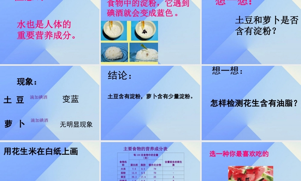 秋四年级科学上册 2.1《我们吃什么》课件1 大象版-大象版小学四年级上册自然科学课件