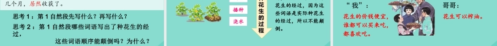 秋五年级语文上册 第一单元 2 落花生上课课件 新人教版-新人教版小学五年级上册语文课件