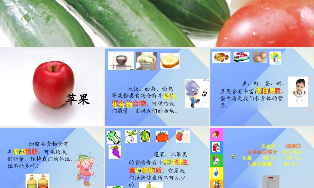 秋四年级科学上册 2.1《我们吃什么》课件3 大象版-大象版小学四年级上册自然科学课件