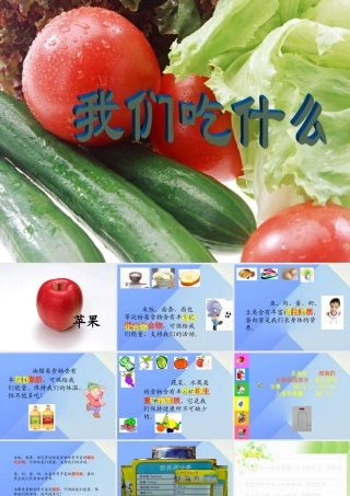 秋四年级科学上册 2.1《我们吃什么》课件3 大象版-大象版小学四年级上册自然科学课件