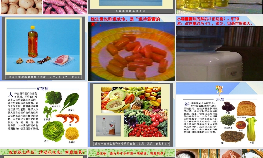 秋四年级科学上册 2.2《食物中的营养》课件1 大象版-大象版小学四年级上册自然科学课件