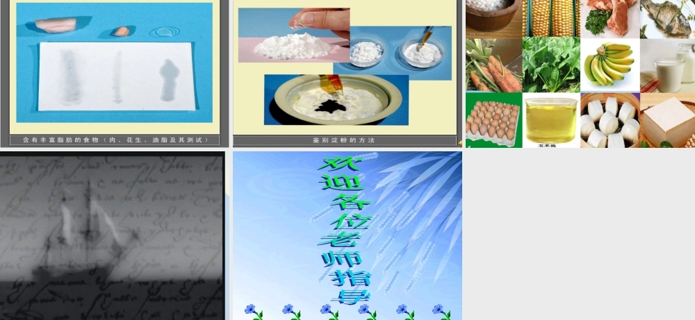 秋四年级科学上册 2.2《食物中的营养》课件1 大象版-大象版小学四年级上册自然科学课件