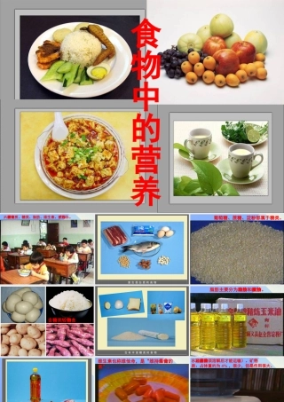 秋四年级科学上册 2.2《食物中的营养》课件1 大象版-大象版小学四年级上册自然科学课件