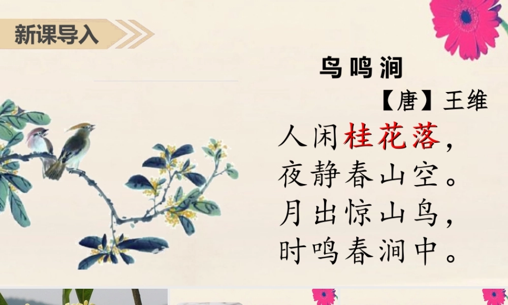 秋五年级语文上册 第一单元 3 桂花雨上课课件 新人教版-新人教版小学五年级上册语文课件