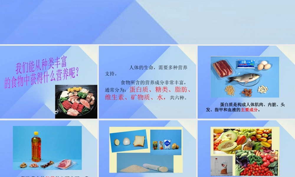 秋四年级科学上册 2.2《食物中的营养》课件2 大象版-大象版小学四年级上册自然科学课件