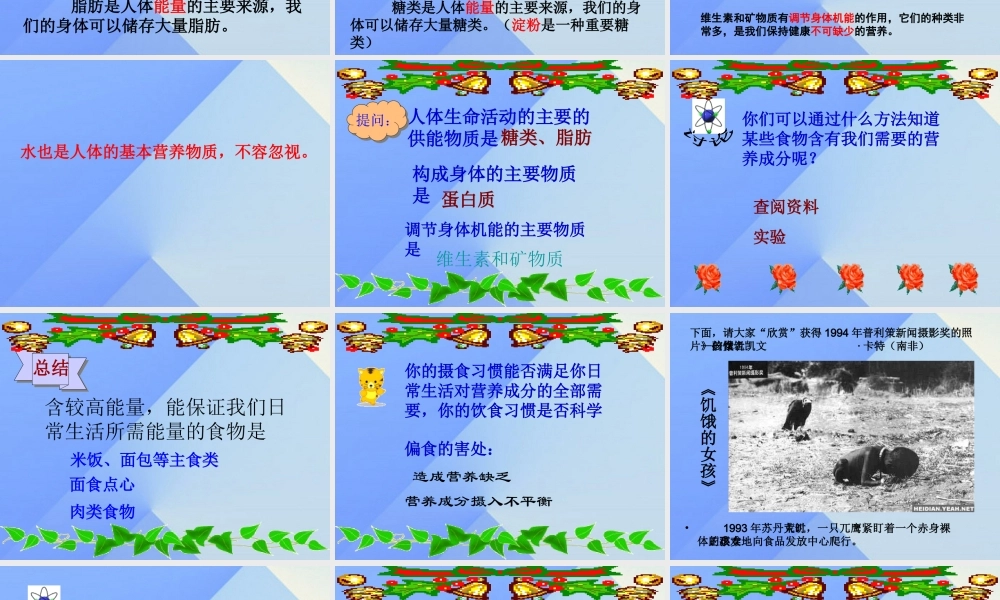 秋四年级科学上册 2.2《食物中的营养》课件2 大象版-大象版小学四年级上册自然科学课件