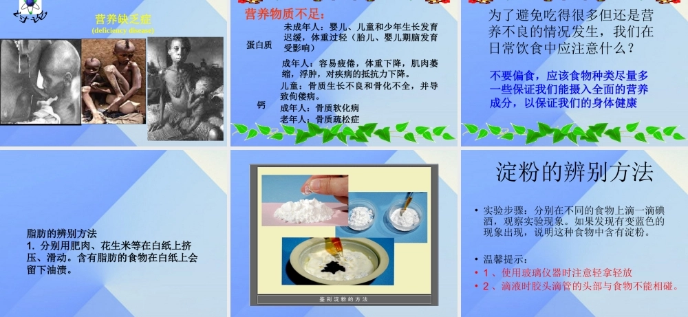秋四年级科学上册 2.2《食物中的营养》课件2 大象版-大象版小学四年级上册自然科学课件