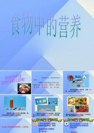 秋四年级科学上册 2.2《食物中的营养》课件2 大象版-大象版小学四年级上册自然科学课件