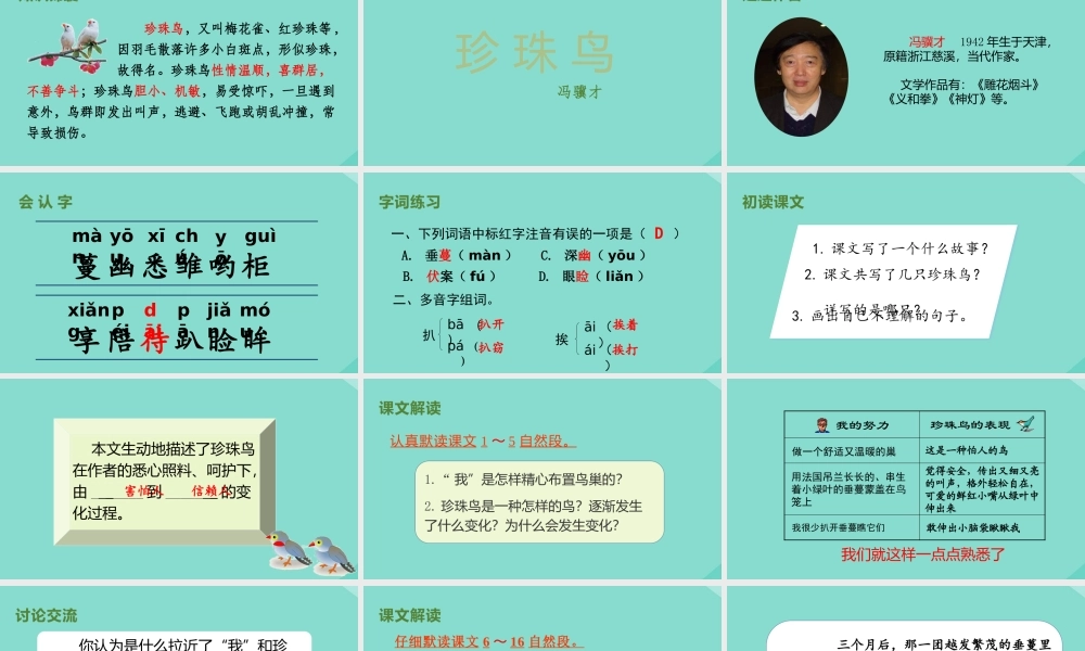 秋五年级语文上册 第一单元 4 珍珠鸟上课课件 新人教版-新人教版小学五年级上册语文课件