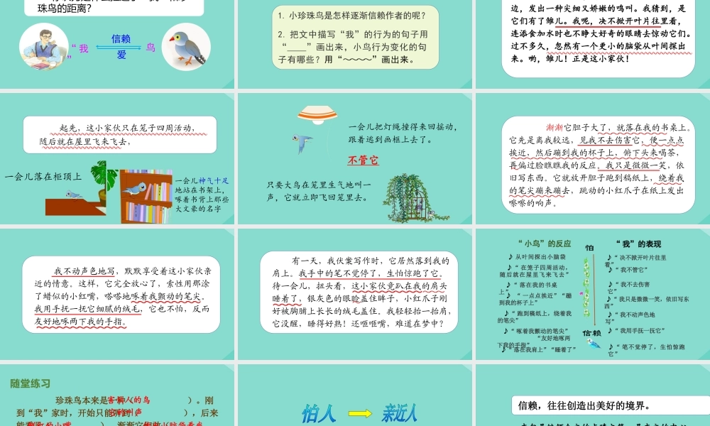 秋五年级语文上册 第一单元 4 珍珠鸟上课课件 新人教版-新人教版小学五年级上册语文课件