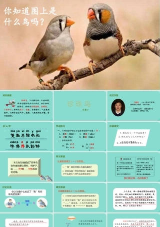 秋五年级语文上册 第一单元 4 珍珠鸟上课课件 新人教版-新人教版小学五年级上册语文课件