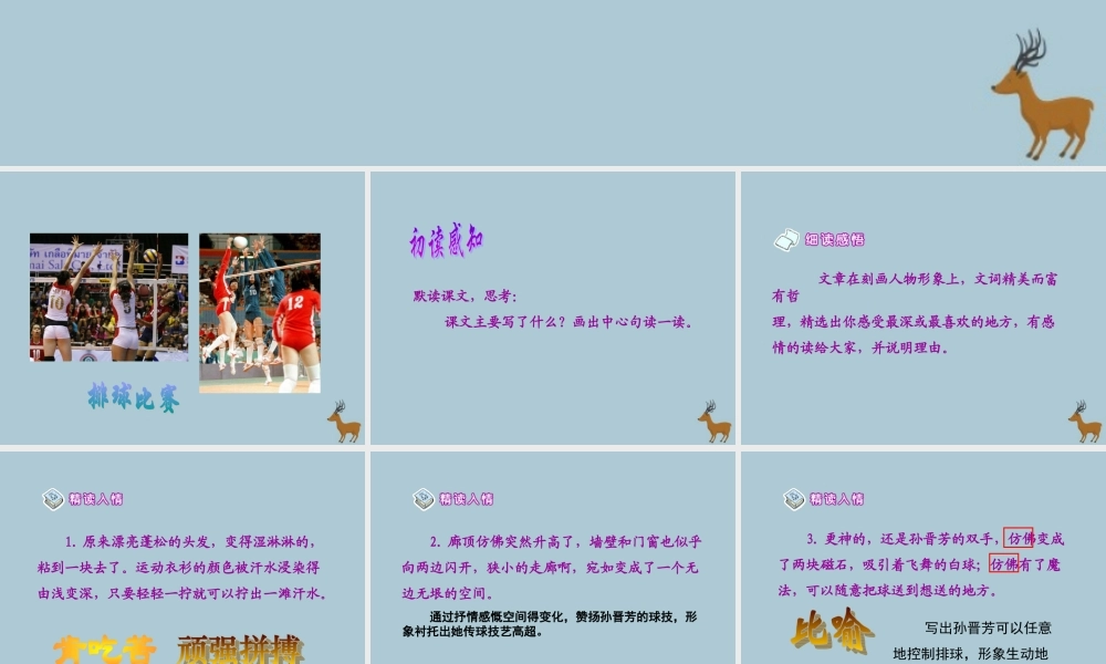 秋六年级语文上册 第四单元 体育 17 把掌声分给她一半教学课件 北师大版-北师大版小学六年级上册语文课件