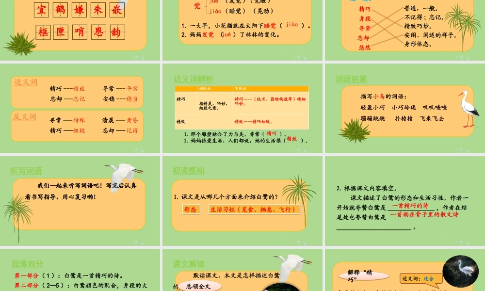 秋五年级语文上册 第一单元 第1课 白鹭教学课件 新人教版-新人教版小学五年级上册语文课件