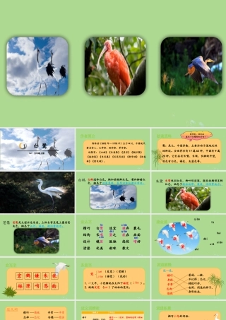 秋五年级语文上册 第一单元 第1课 白鹭教学课件 新人教版-新人教版小学五年级上册语文课件