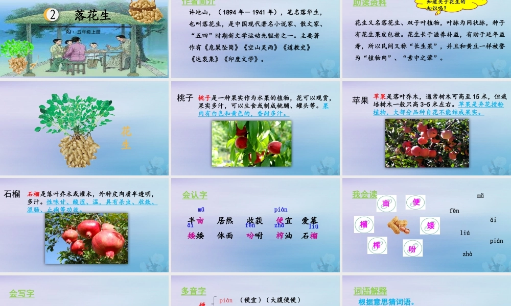 秋五年级语文上册 第一单元 第2课 落花生教学课件 新人教版-新人教版小学五年级上册语文课件