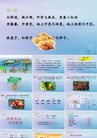 秋五年级语文上册 第一单元 第2课 落花生教学课件 新人教版-新人教版小学五年级上册语文课件