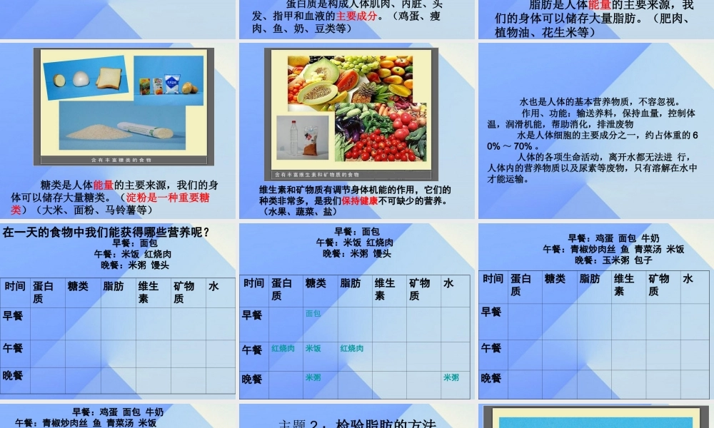 秋四年级科学上册 2.2《食物中的营养》课件3 大象版-大象版小学四年级上册自然科学课件